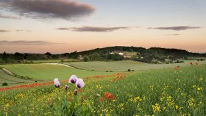 Panorama to illustrate dating in haywards heath