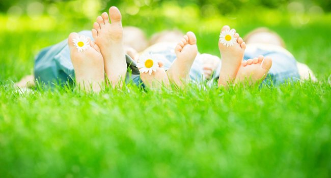 Family laying in the grass with only their feet visible