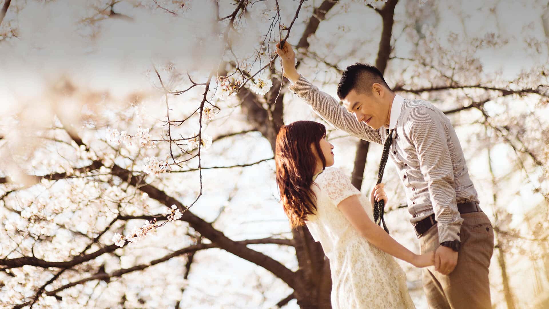 korean-couple-in-front-of-a-cherry-blossom-tree